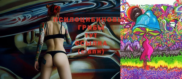 индика Наволоки