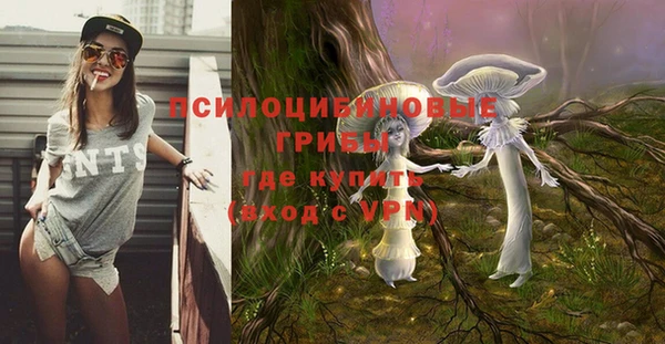 MDMA Premium VHQ Горнозаводск
