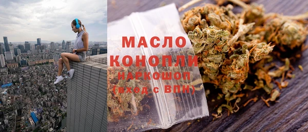 индика Наволоки