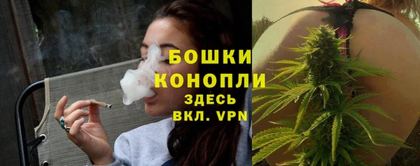 индика Наволоки