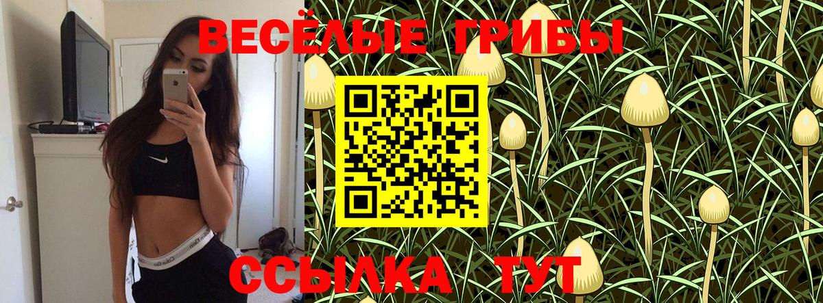Галлюциногенные грибы ЛСД Боровичи