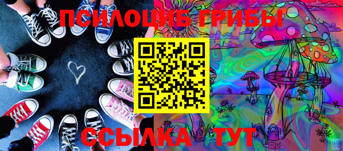 Галлюциногенные грибы Psilocybe  Псилоцибиновые грибы GOLDEN TEACHER  Боровичи 