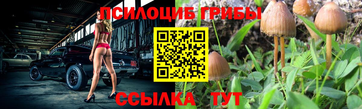 Галлюциногенные грибы прущие грибы  Псилоцибиновые грибы прущие грибы  Боровичи  Вход с VPN 